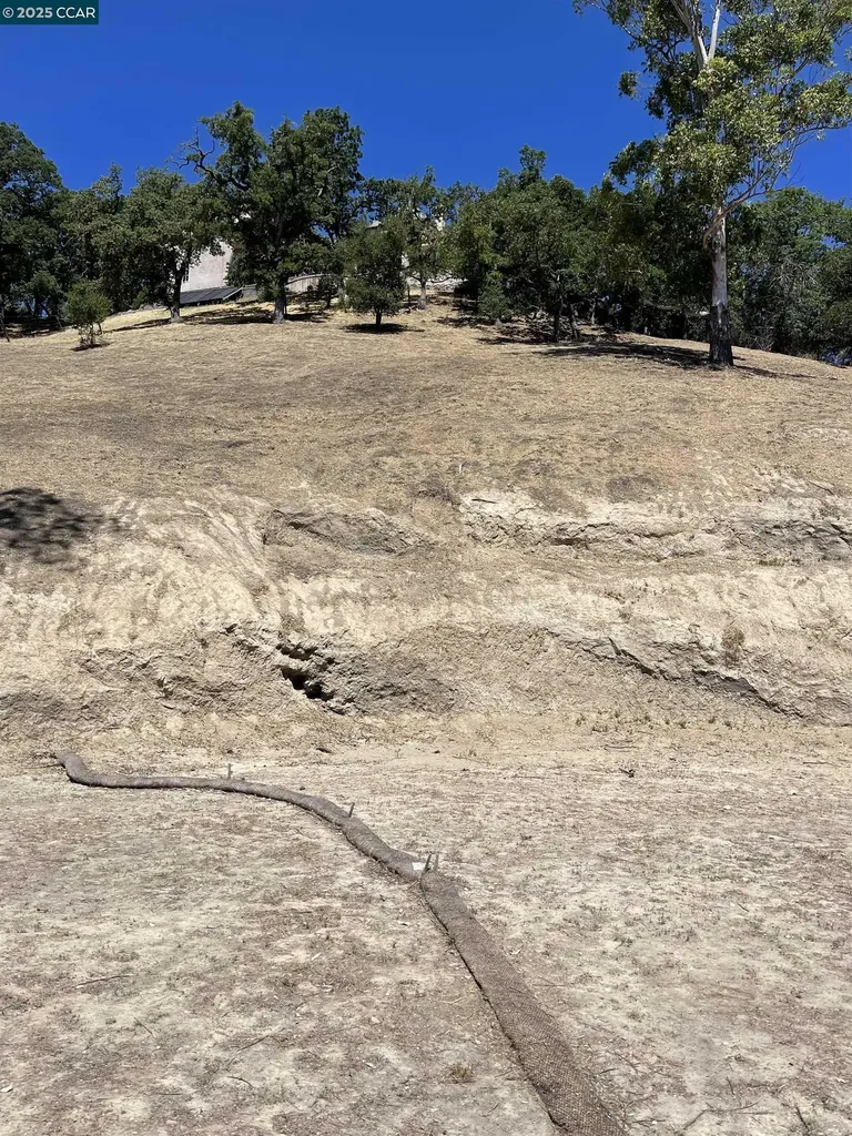 221 Dean Road Alamo CA 94507
