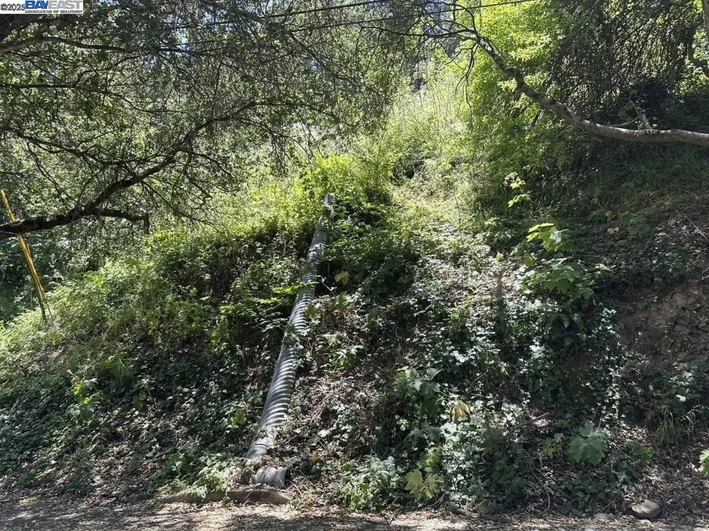 Chelton Drive Oakland CA 94603