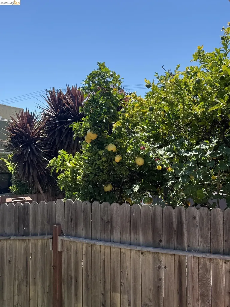 3212 Esmond Avenue Richmond CA 94804