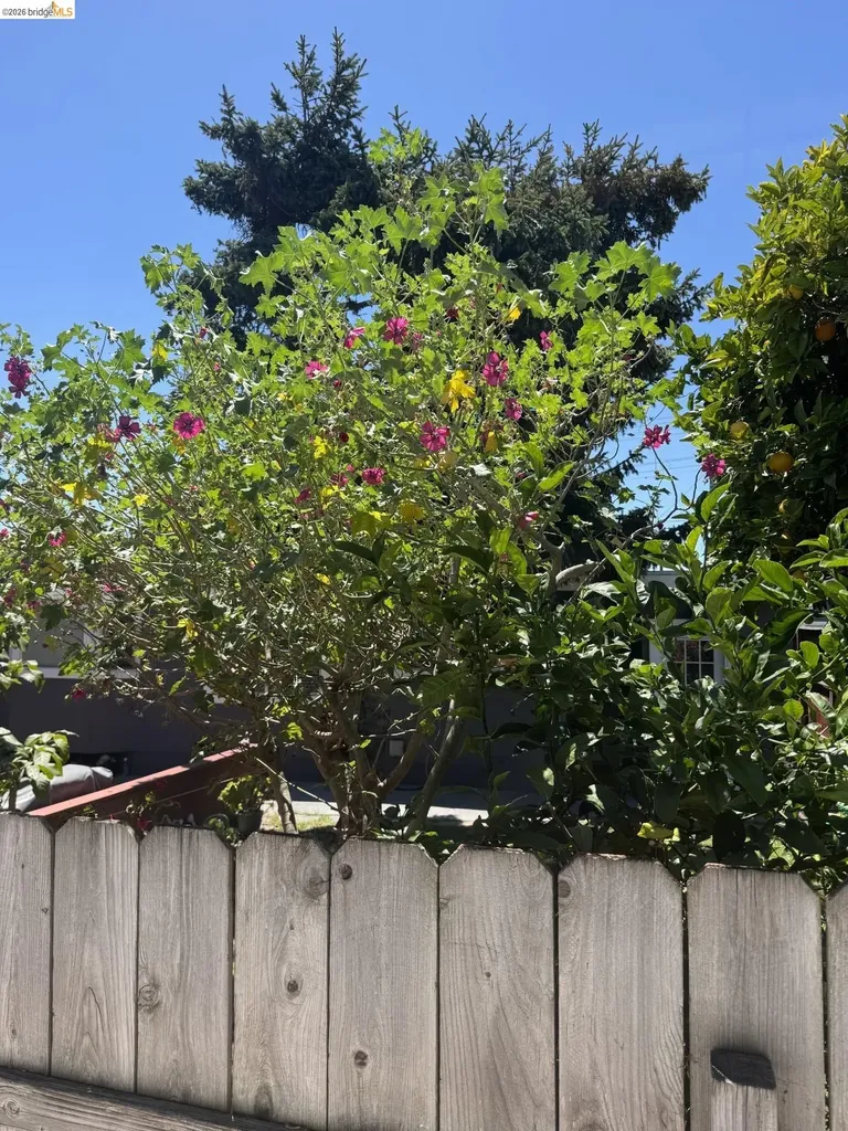 3212 Esmond Avenue Richmond CA 94804