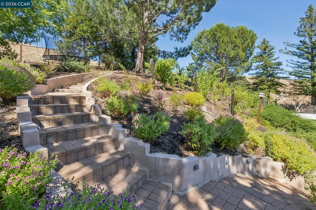 226 Arthur Court Danville CA 94526