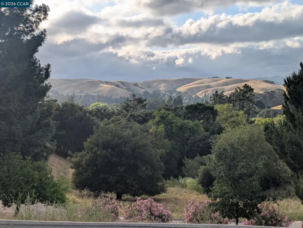 370 Castello Lafayette CA 94549