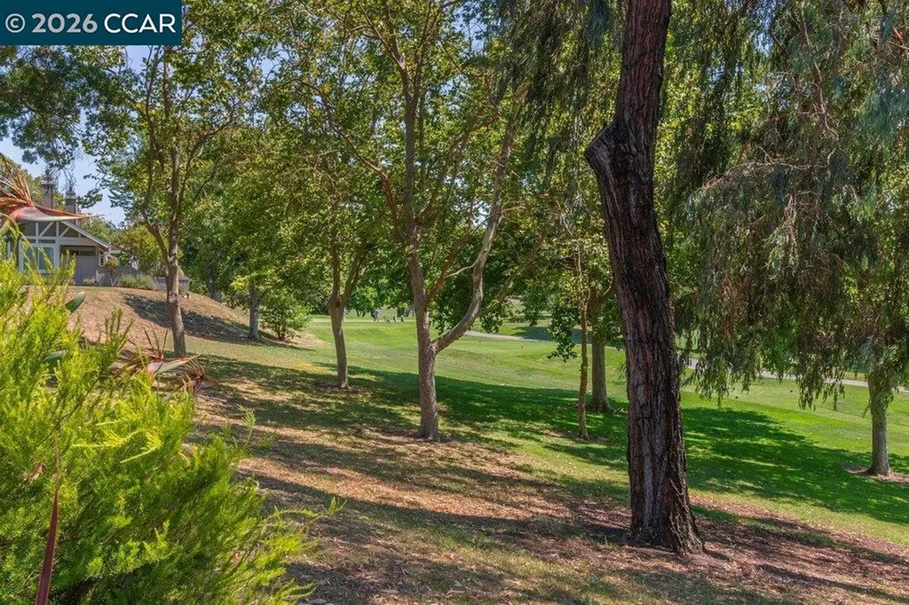 565 Silver Lake Drive Danville CA 94526
