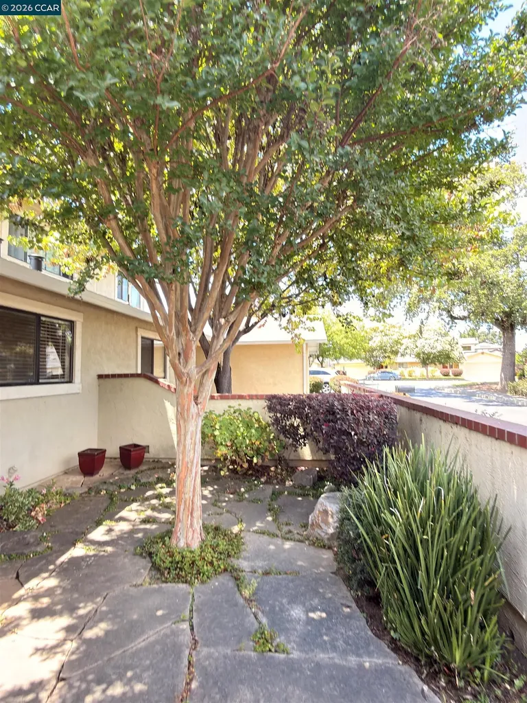 1640 San Vicente Avenue Napa CA 94558