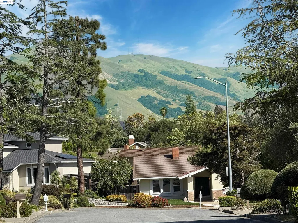 40337 Loro Place Fremont CA 94539