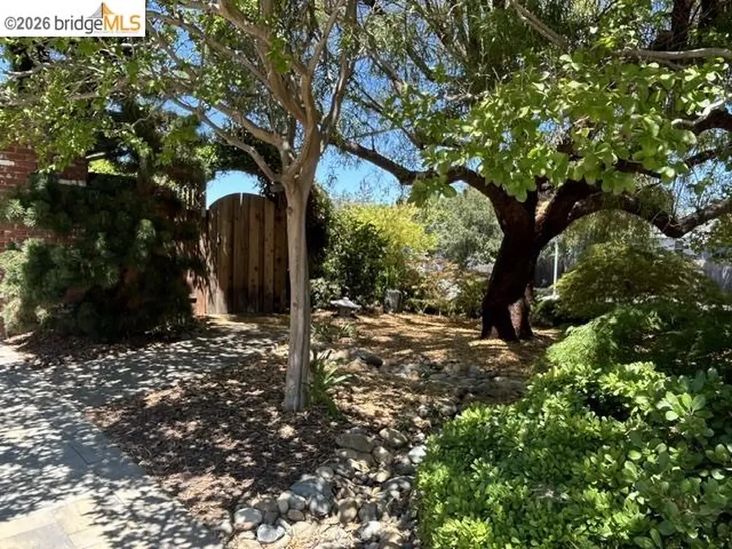 5849 Mitchell Canyon Court Clayton CA 94517