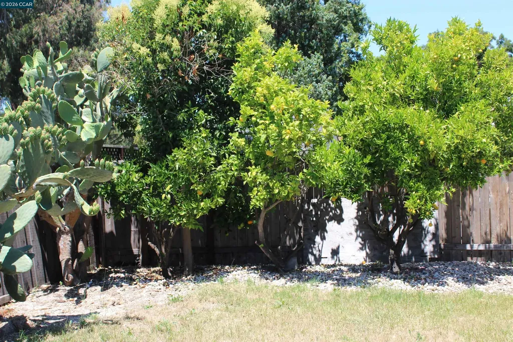 36305 Colbert Place Newark CA 94560
