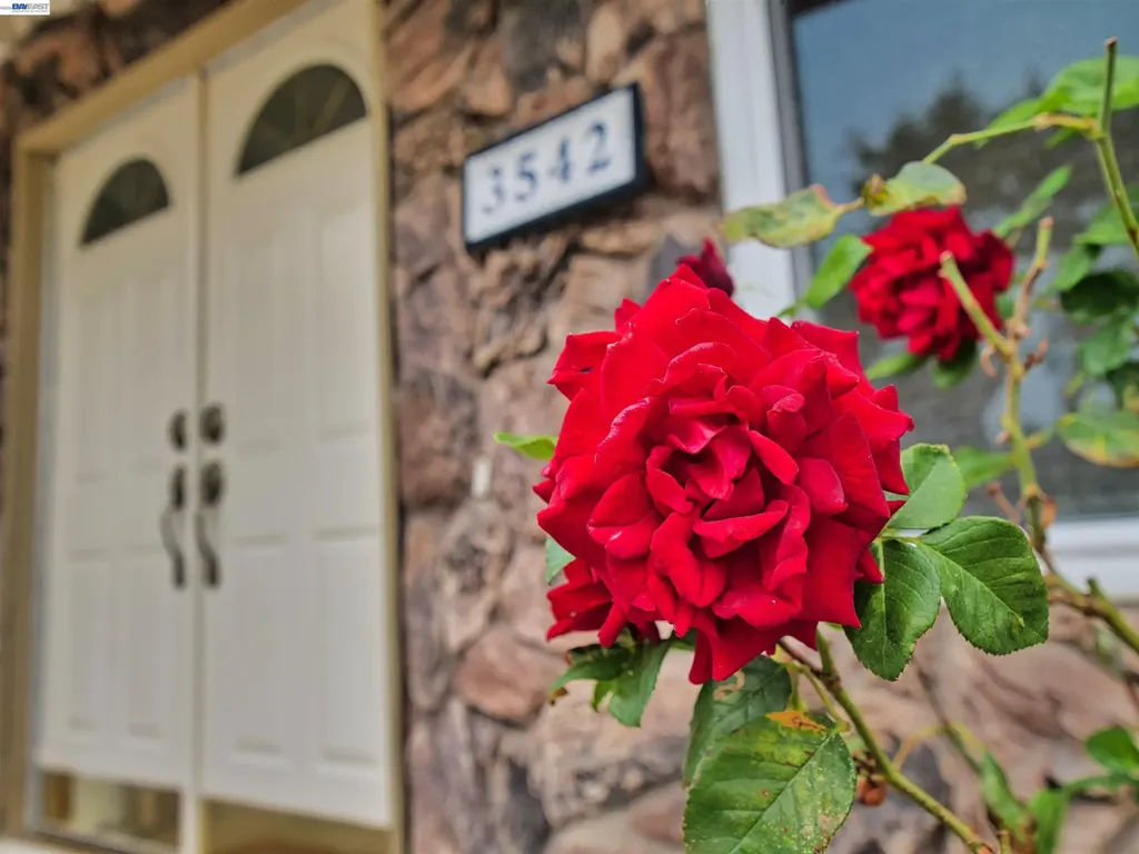 3542 Surry Place Fremont CA 94536