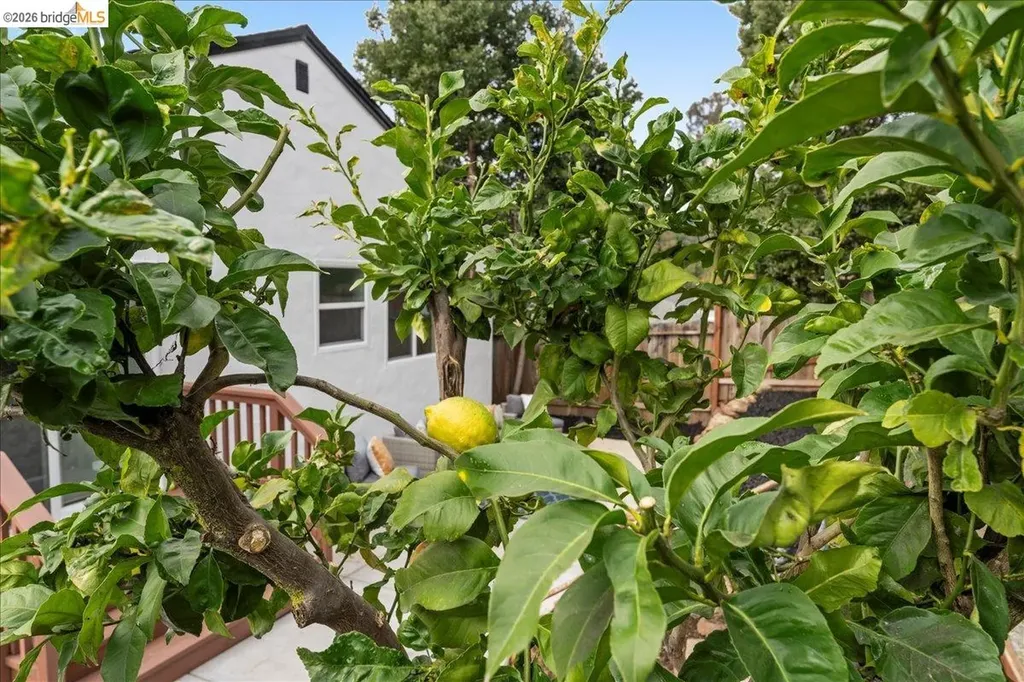 6032 Mauritania Avenue Oakland CA 94605