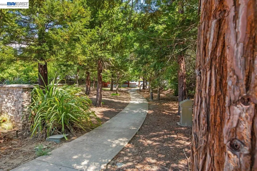 290 Snider Court Livermore CA 94550