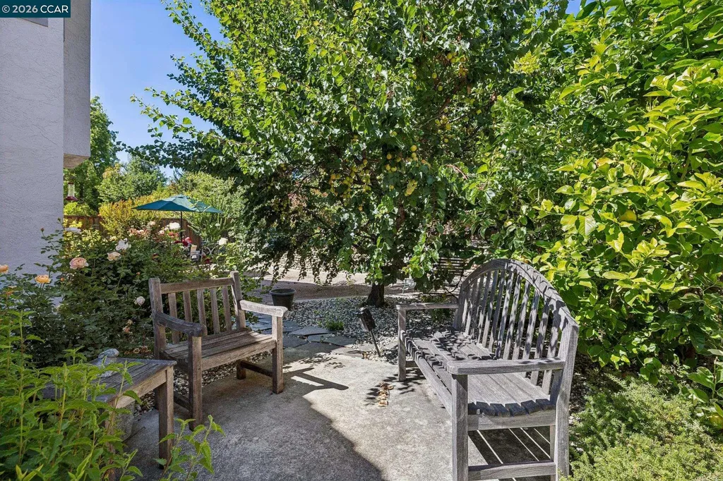 612 Clear Lake Street Danville CA 94506