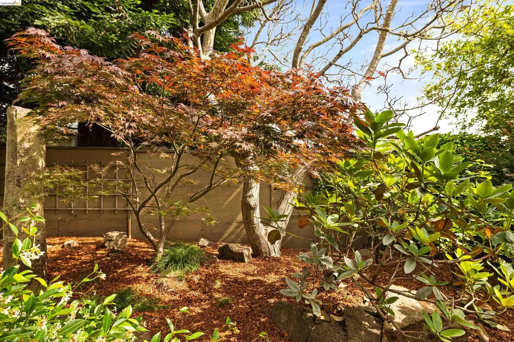 1009 Key Route Boulevard Albany CA 94706