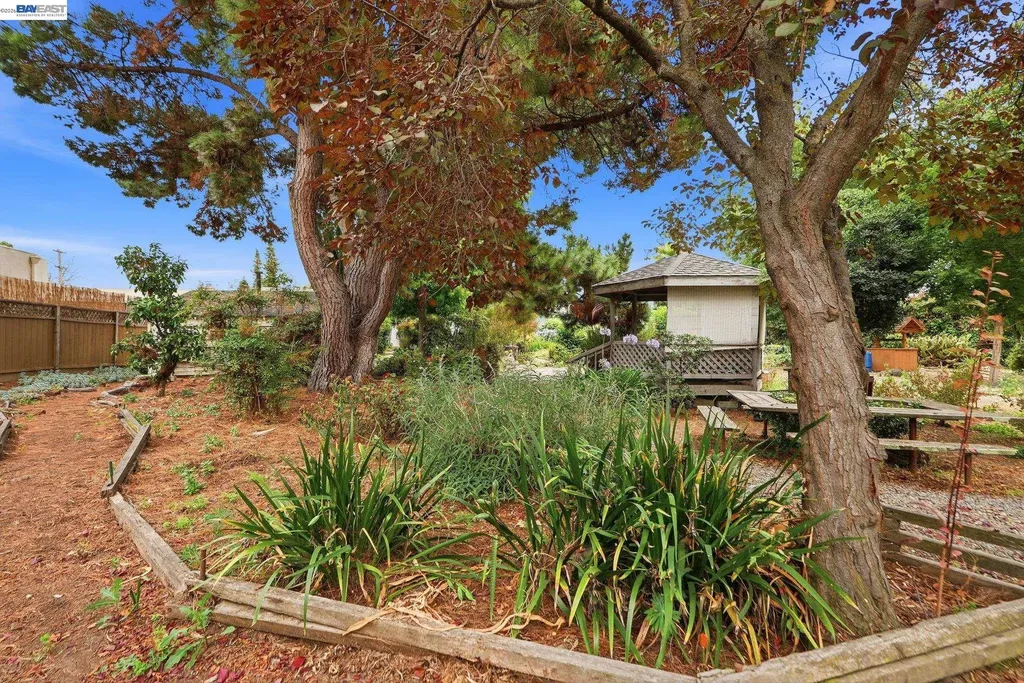 770 Grove Way Hayward CA 94541