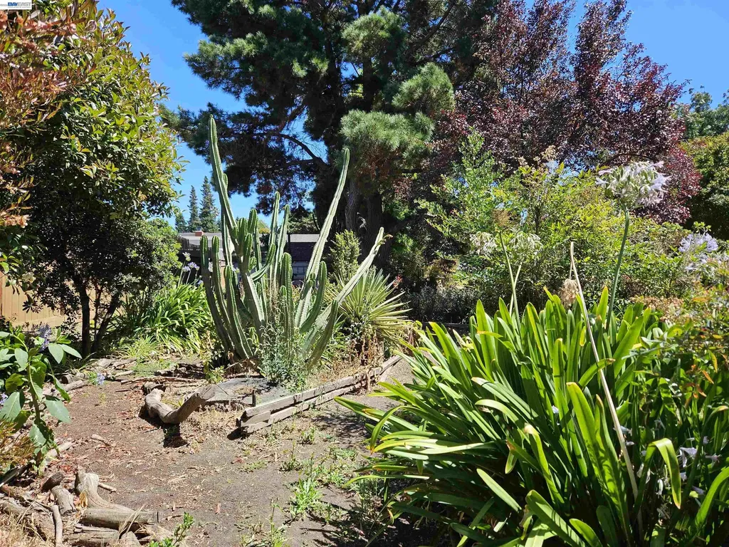770 Grove Way Hayward CA 94541