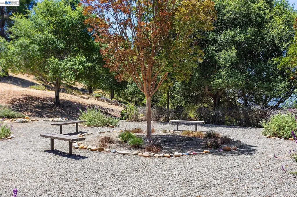 19252 Masterson Place Castro Valley CA 94552