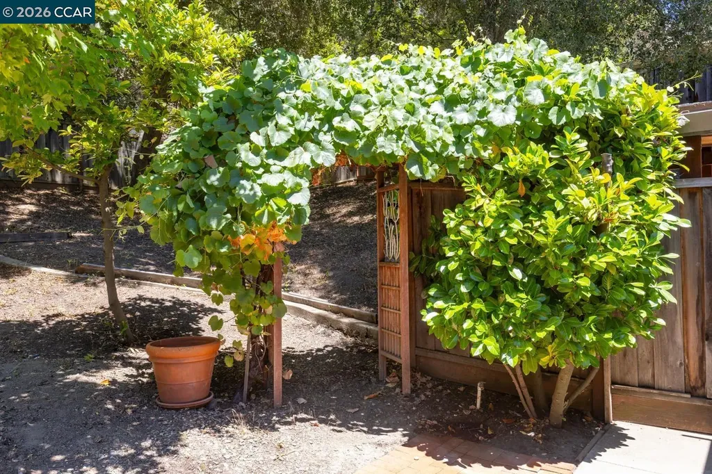 19 Valley Drive Orinda CA 94563