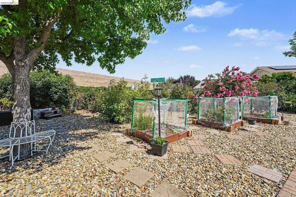 311 Upton Pyne Drive Brentwood CA 94513