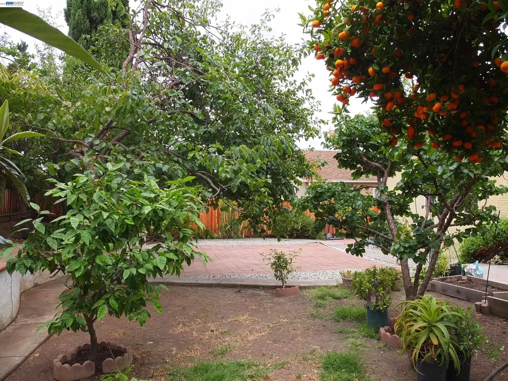 736 Shard Court Fremont CA 94539