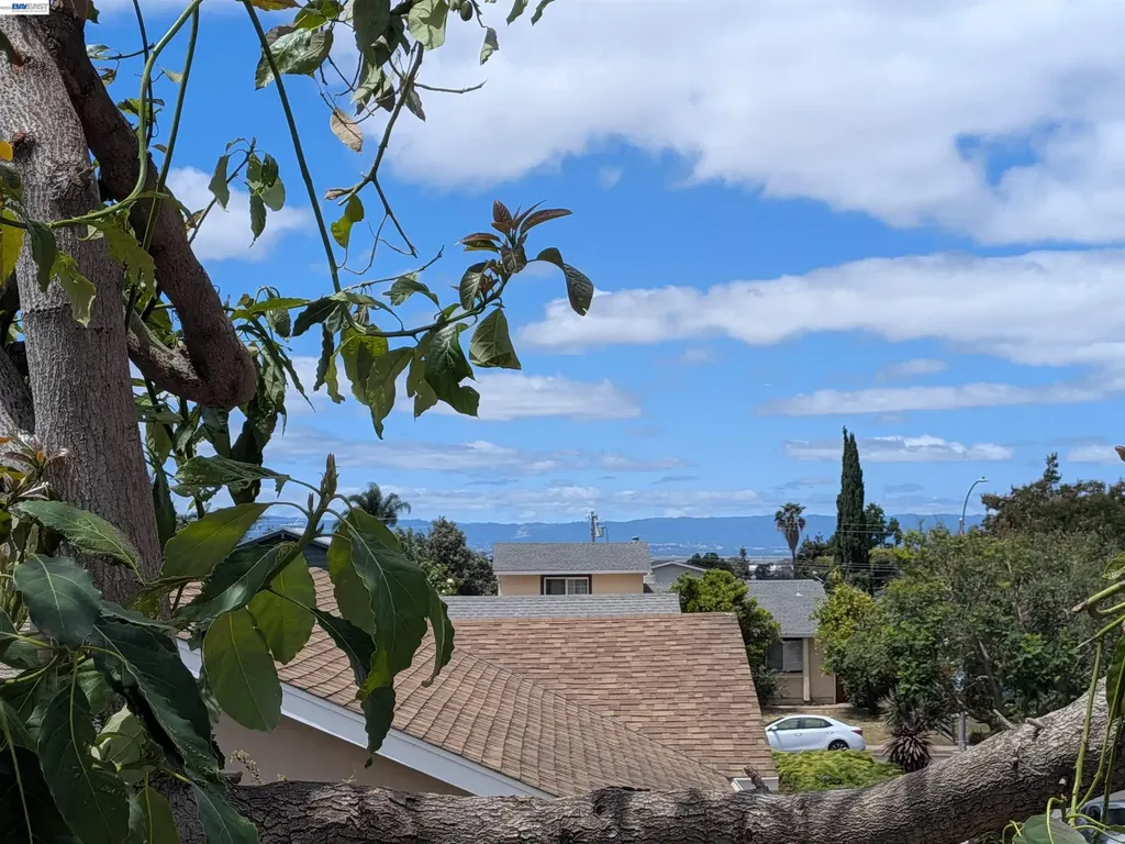736 Shard Court Fremont CA 94539