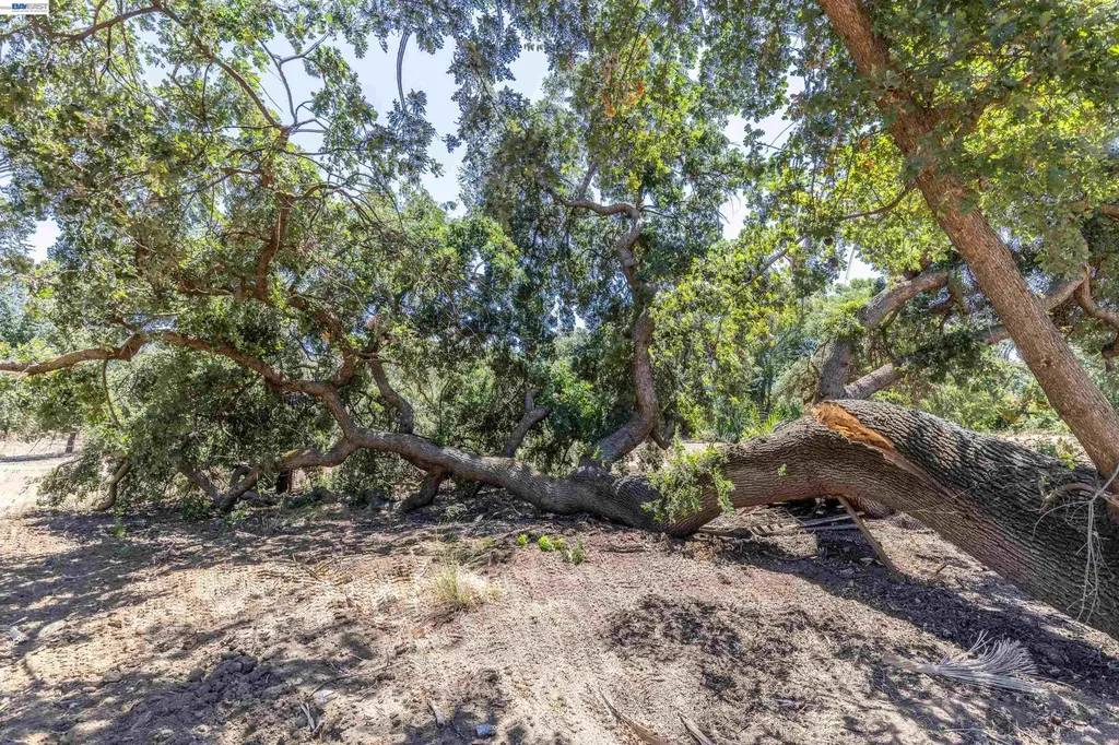 3515 Kellogg Creek Road Byron CA 94514