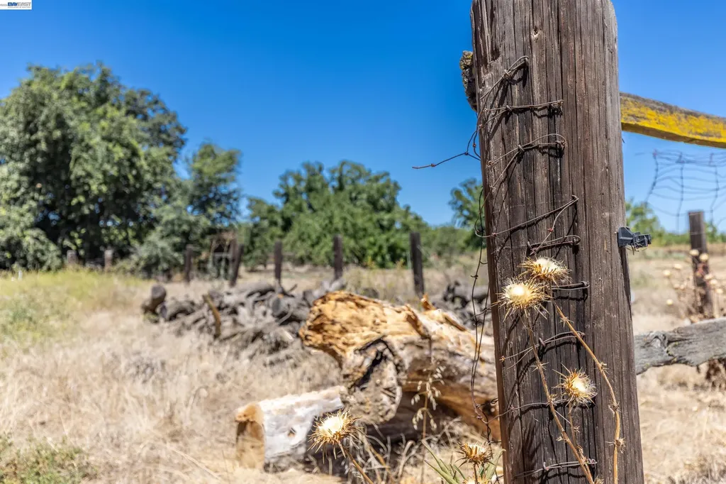 3515 Kellogg Creek Road Byron CA 94514