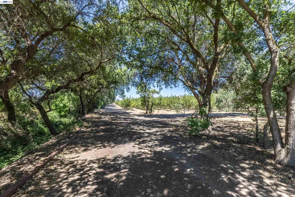 3515 Kellogg Creek Road Byron CA 94514