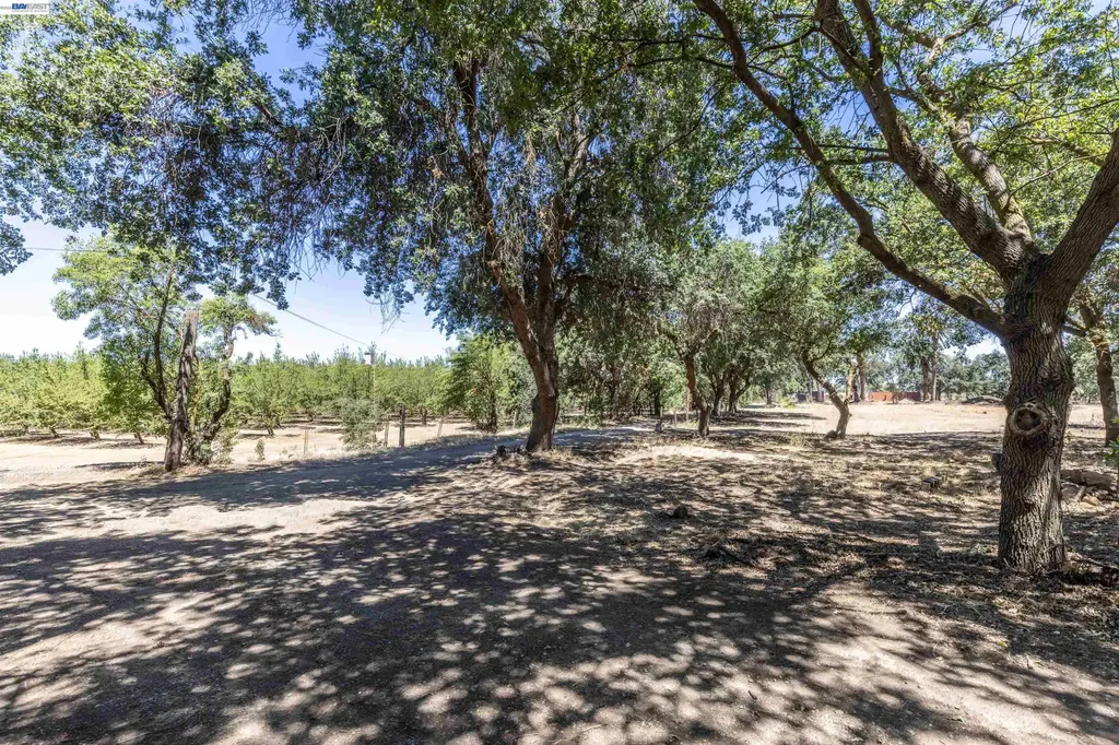 3515 Kellogg Creek Road Byron CA 94514
