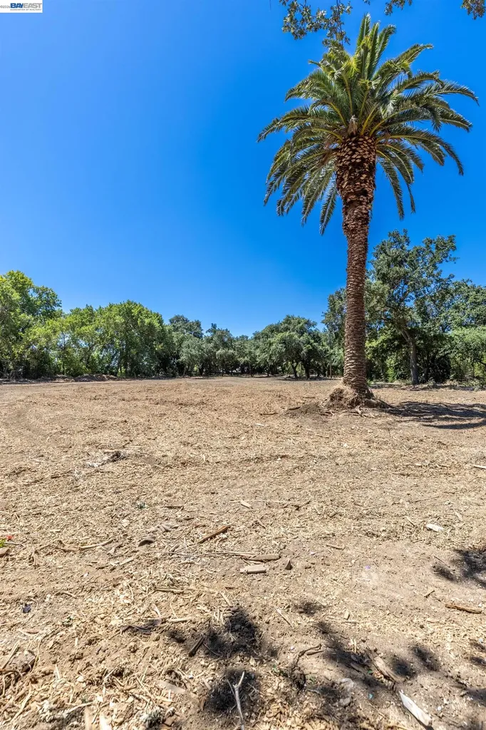 3515 Kellogg Creek Road Byron CA 94514