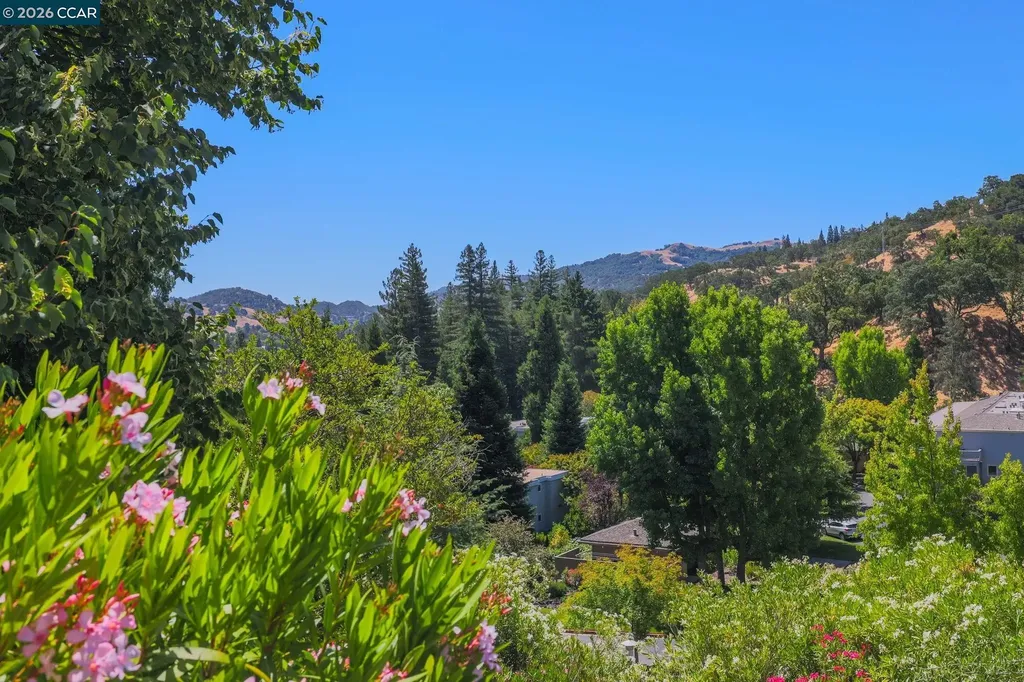 2224 Pine Knoll Drive Walnut Creek CA 94595