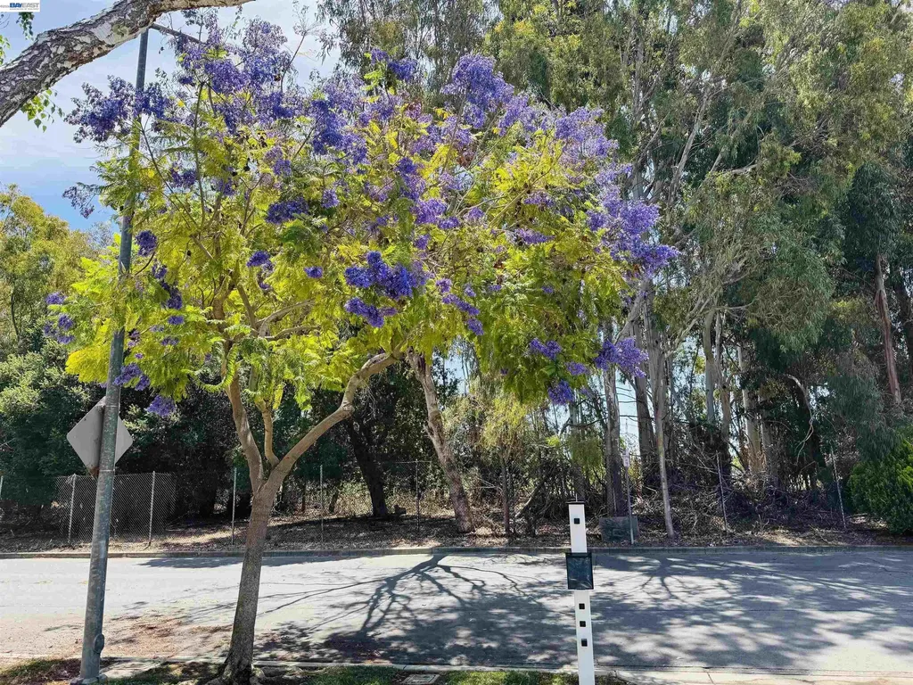 5579 Ridgewood Drive Fremont CA 94555