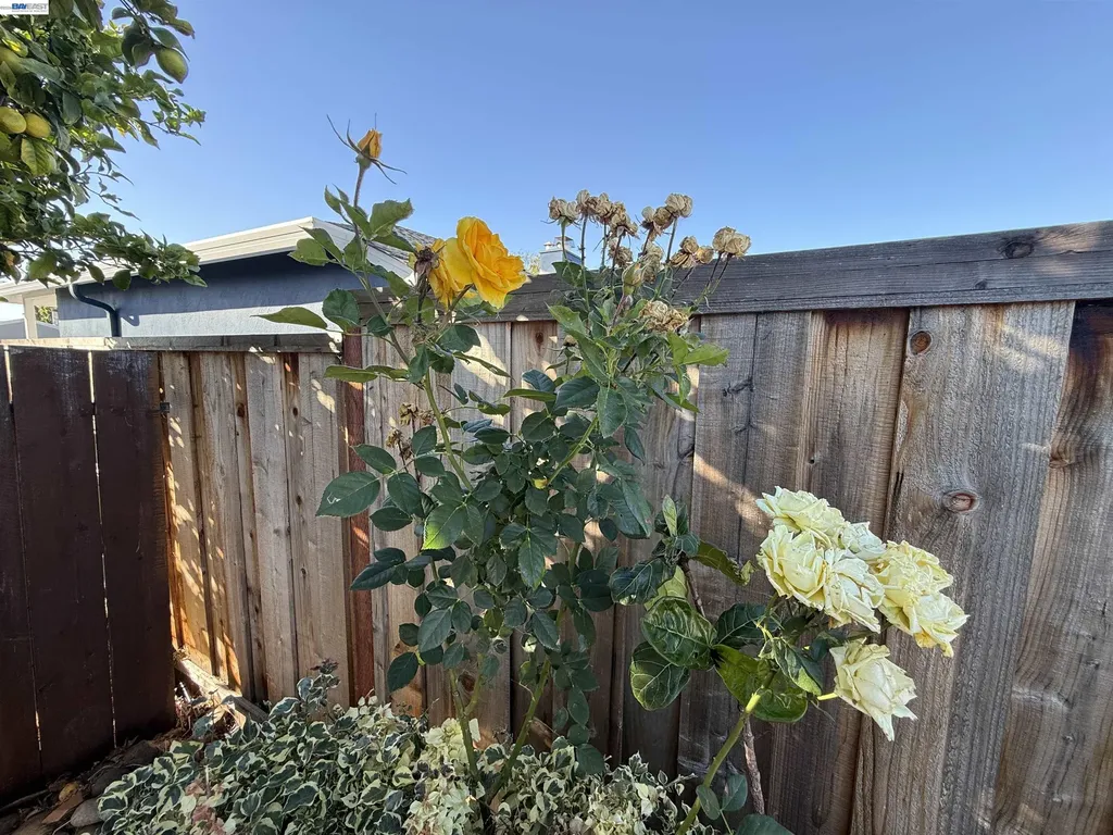 1362 Esser Avenue San Leandro CA 94579