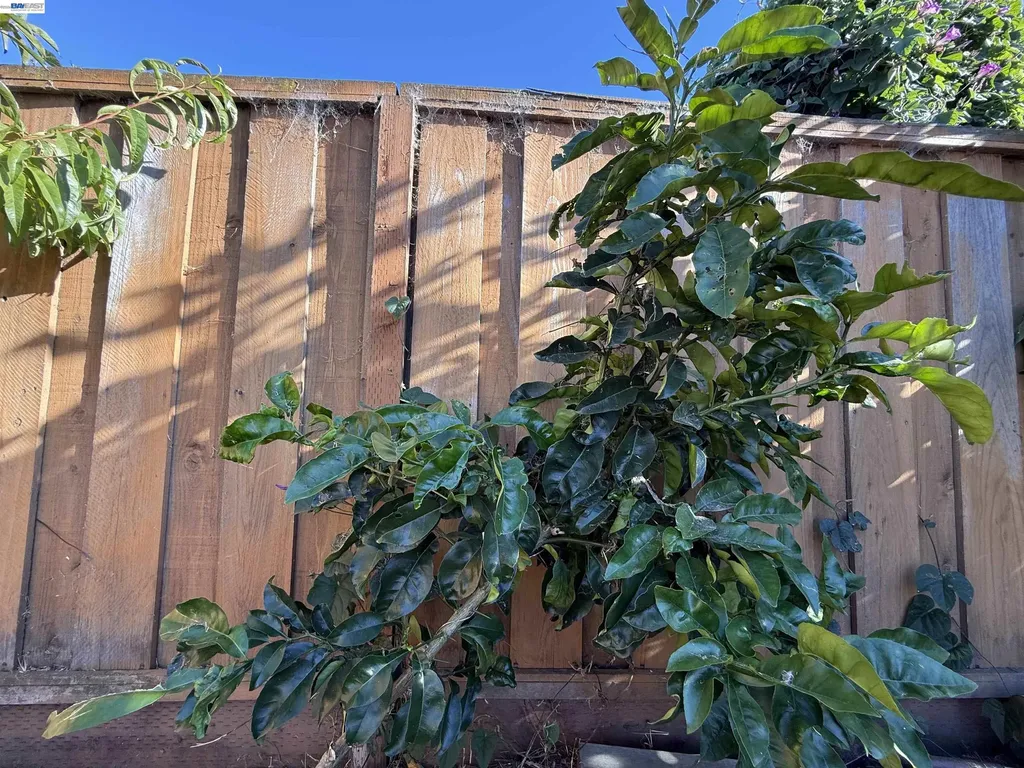 1362 Esser Avenue San Leandro CA 94579