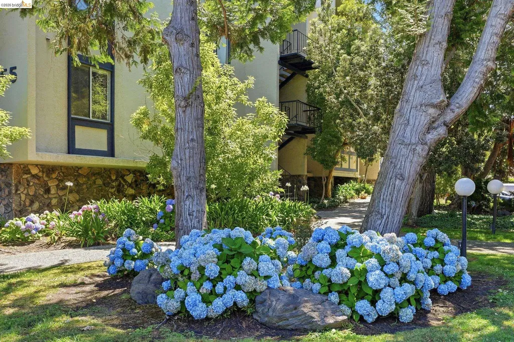 955 Shorepoint Court Alameda CA 94501