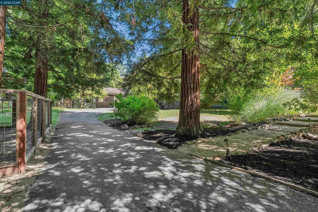 39 Comistas Court Walnut Creek CA 94598