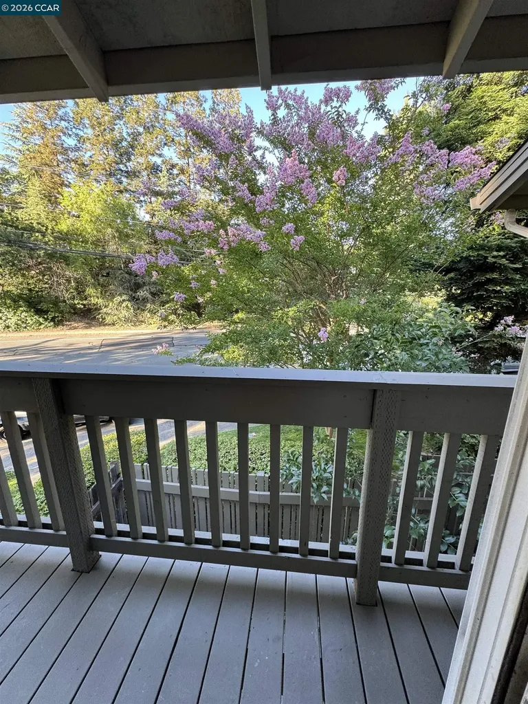 1241 Homestead Avenue Walnut Creek CA 94598