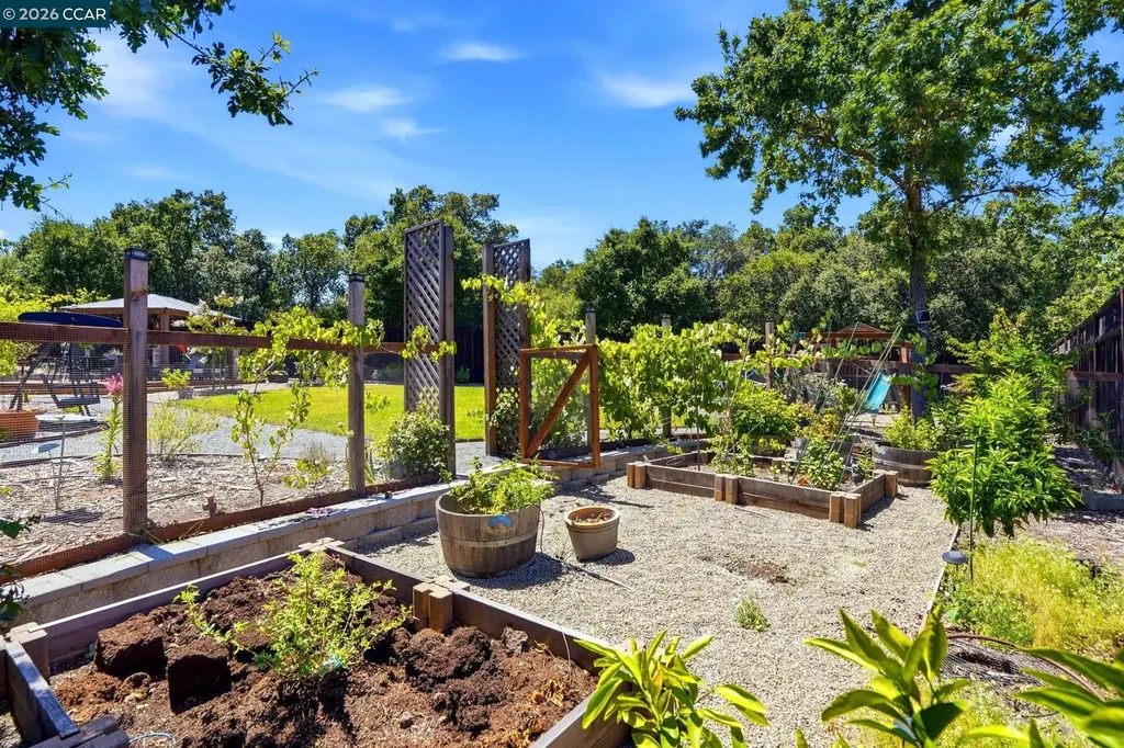 3196 Diablo View Road Lafayette CA 94549