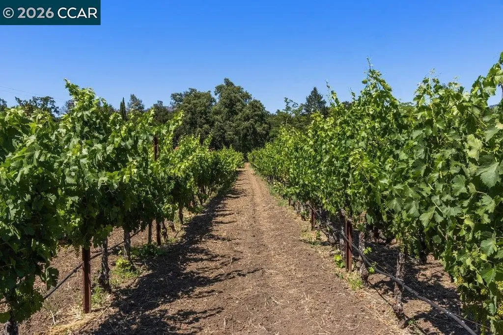 100 Foothill Boulevard Calistoga CA 94515