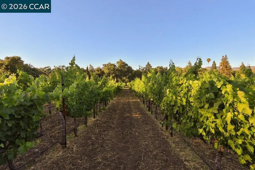 100 Foothill Boulevard Calistoga CA 94515