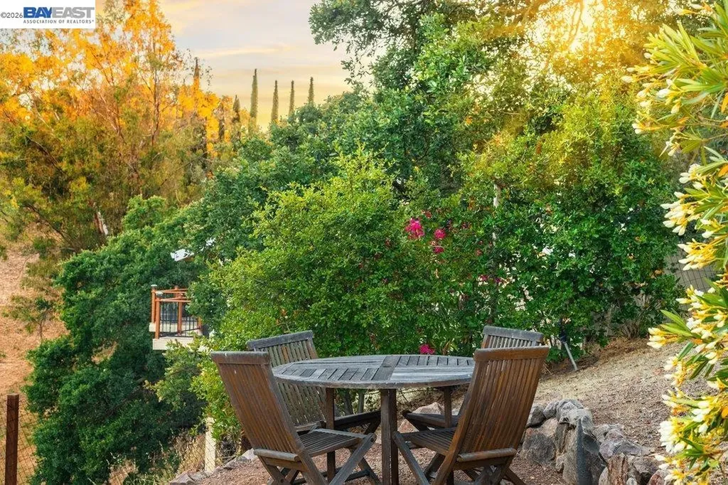 16 Ardendale Court Alamo CA 94507