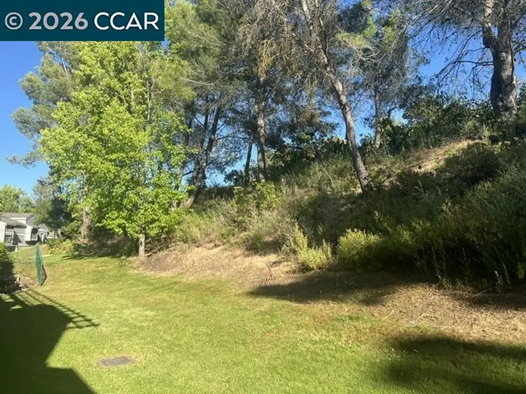 373 Grapevine Place Pleasant Hill CA 94523
