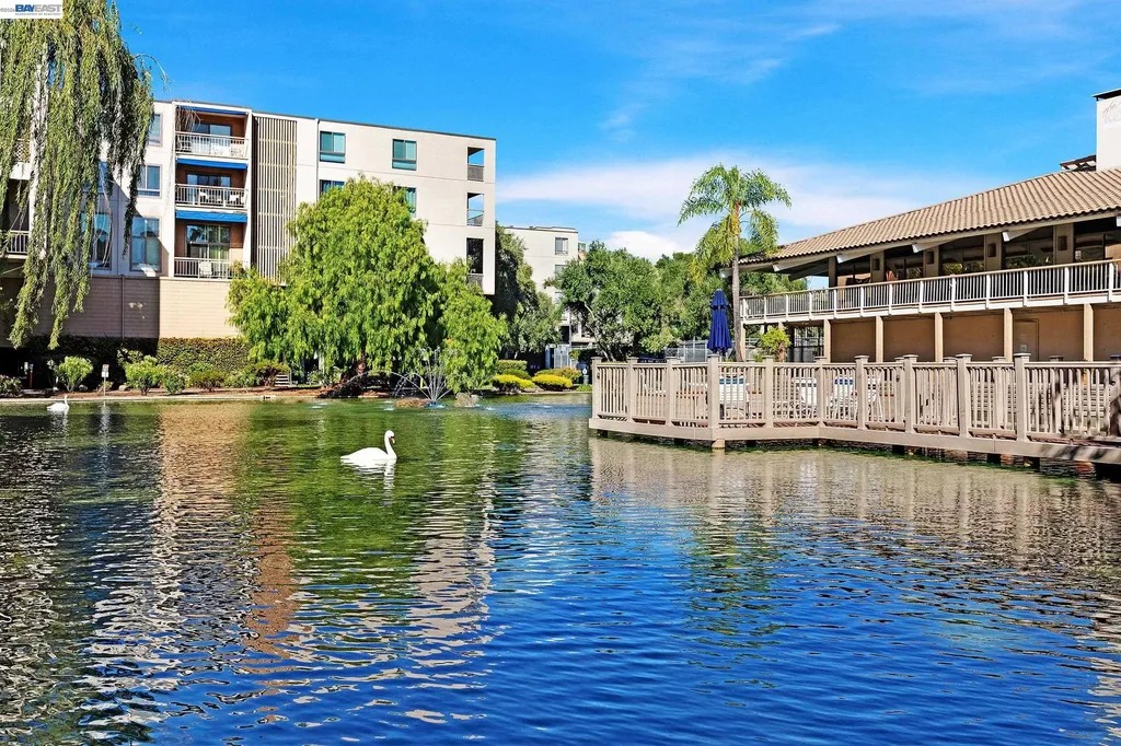 310 Civic Drive Walnut Creek CA 94596