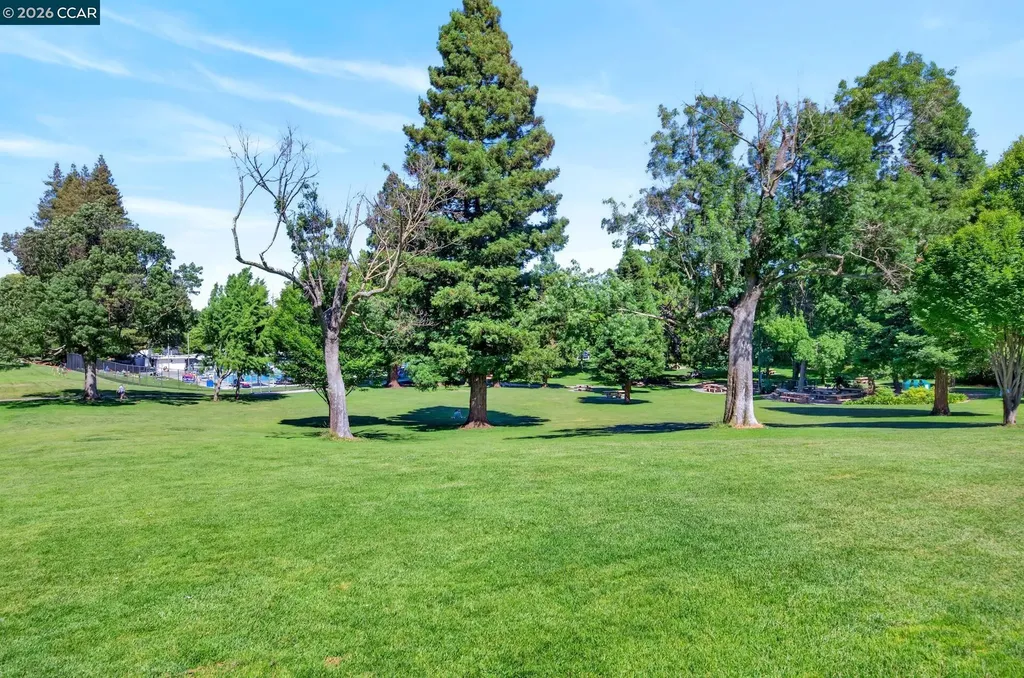 726 Buena Vista Place Walnut Creek CA 94597
