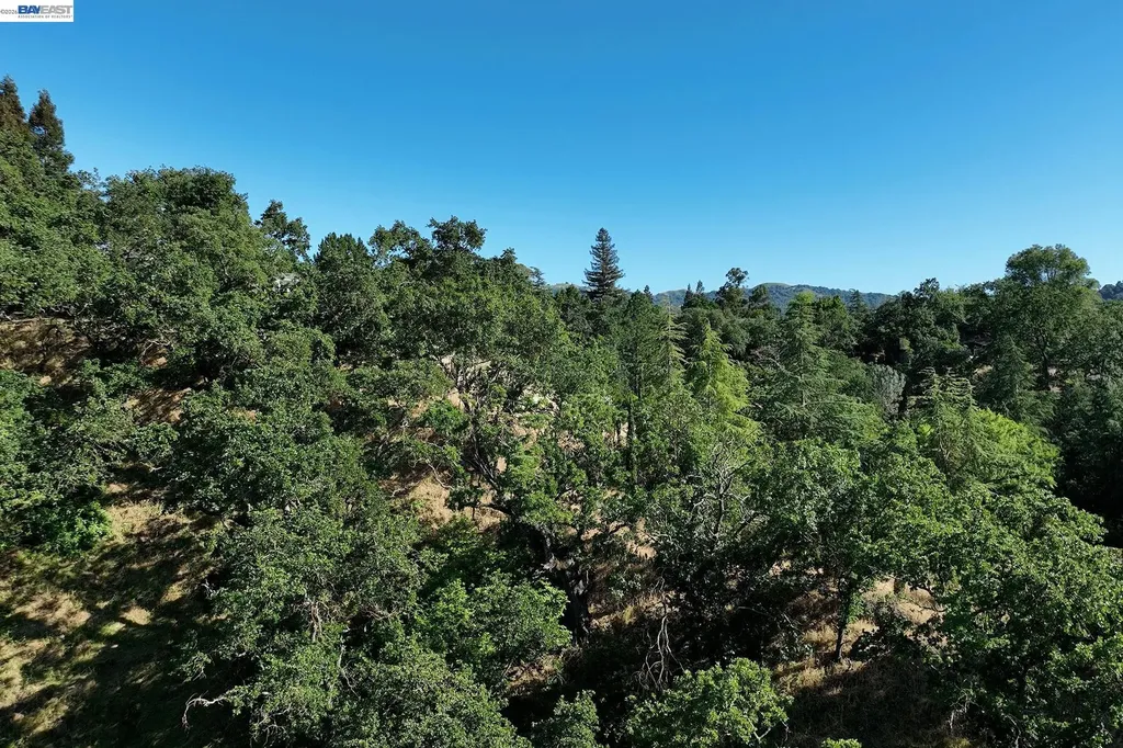 247 Sequoia Avenue Walnut Creek CA 94595