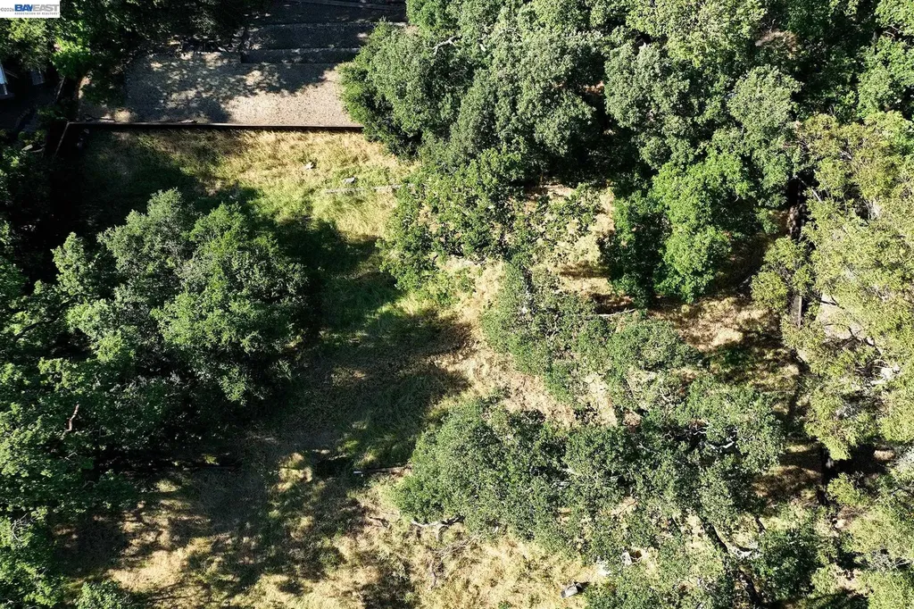 247 Sequoia Avenue Walnut Creek CA 94595