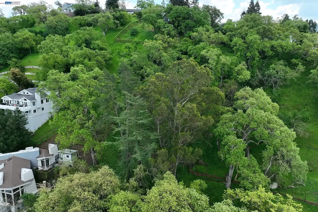 247 Sequoia Avenue Walnut Creek CA 94595