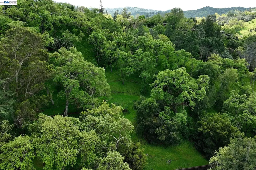 247 Sequoia Avenue Walnut Creek CA 94595