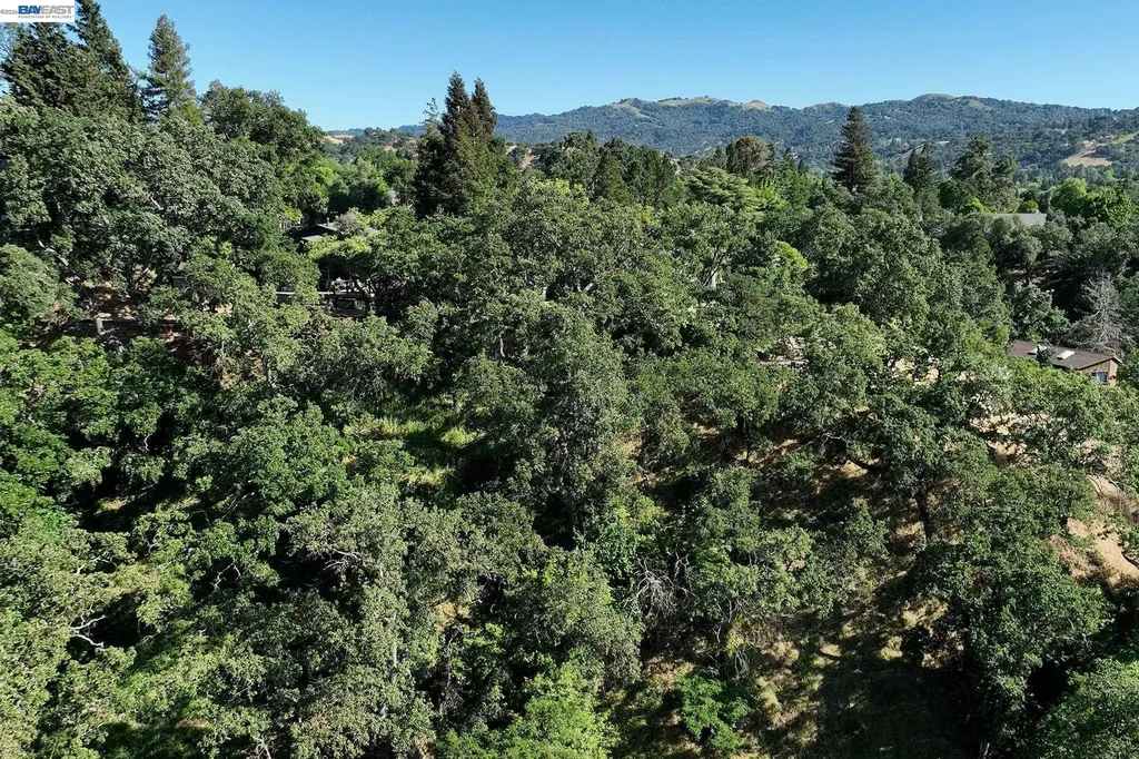 247 Sequoia Avenue Walnut Creek CA 94595