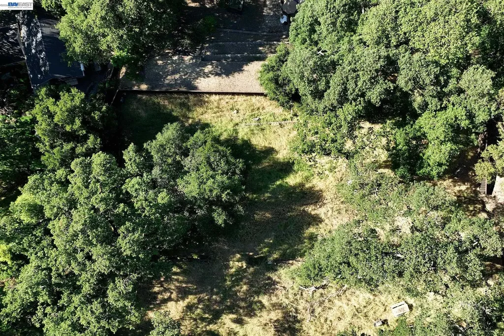 247 Sequoia Avenue Walnut Creek CA 94595