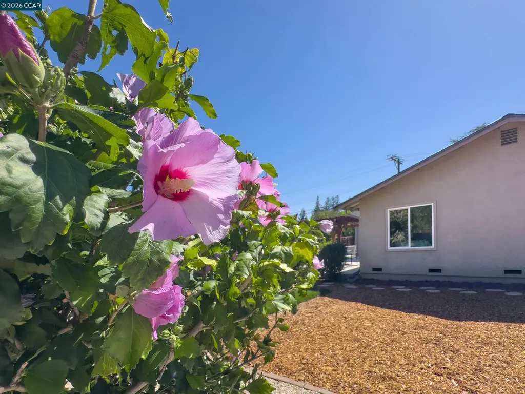 1759 Elm Road Concord CA 94519