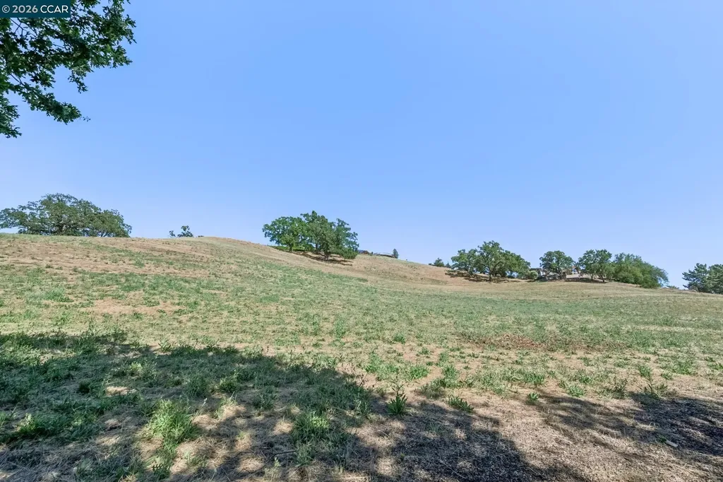 3211 Stone Valley Road Alamo CA 94507